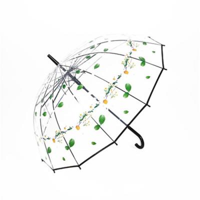 China All In 1 POE Flower Printing Straight Transparent Umbrella for sale