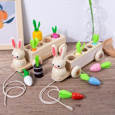 China Children Learning Montessori Building Block Rabbit and Radish Early Educational Practical Wooden Matching Fruit Blocks Toy for sale