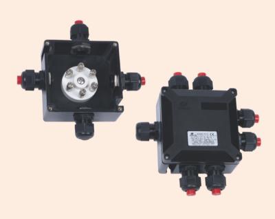 China BXJ8050-20/6 series junction boxes contact me for inquiry BXJ8050-20/6 for sale