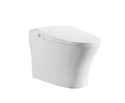 China JM301 Automatic Operation Ceramic Sanitary Ware Toilet WaterMark SAA China Approved One Piece Bidet Toilet for sale