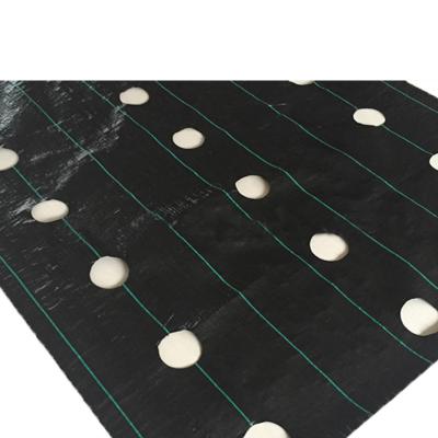 China Industry Green or Black Woven Weed Mat for sale