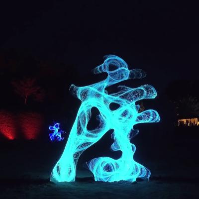 China Plastic Outdoor Christmas Landscape Decoration Fiber Optic Holiday Lighting Tall Light Garden Light for sale