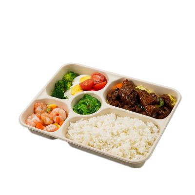 China Biodegradable Disposable Lunch Box Degradable Lunch Box Take Out Fast Food Box Dinner Dish for sale