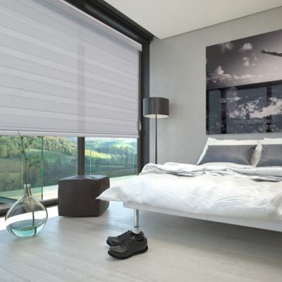 China Soft Functional Curtain Dimout Room Darkening Shades Double Layer Blackout Zebra Blinds for sale