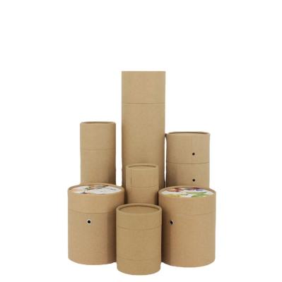 China Bio-degradable High Quality Custom Logo Luxury Factory Price Tube Packaging Kraft Candle Box Food Empty Tubes for sale