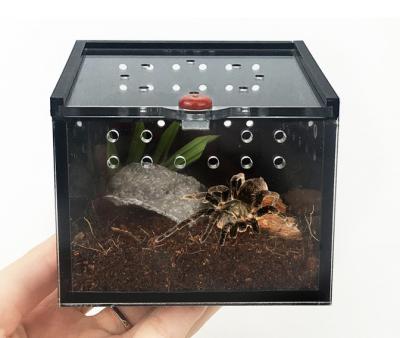 China Vterrarium Viable Acrylic Reptile Cage, Pet Cages Carriers for sale