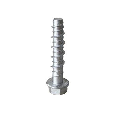 China Hot Selling Steel Concrete Stainless Steel Screw Bolt Anchor for sale