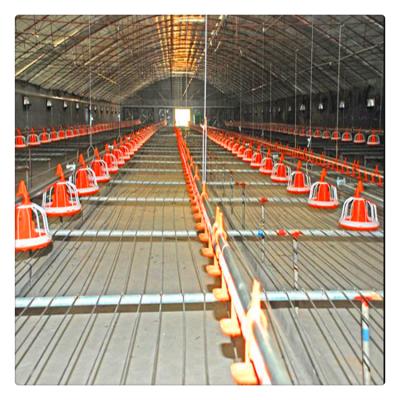 China Modern Prefab Steel Structure Poultry Farm Poultry Equipment Chicken Farm Tunnel Gate System for sale