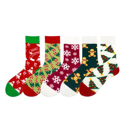 China High Quality Absorb Sweat Knit Socks Multi Designed Women Cartoon Gift Christmas Stocking 100% Cotton Socks for sale