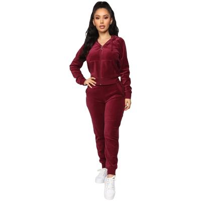 China Hoodie Drawstring Velvet Winter Anti-pilling Jogging Set Sports Tracksuit Warm Two-Piece Suit For Women for sale