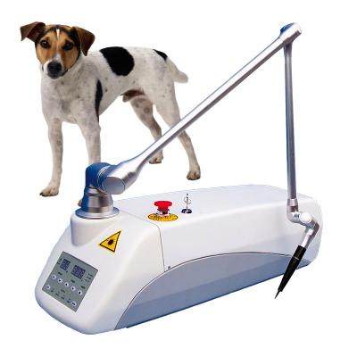 China CL15 2021 Hot Sale CO2 Laser Best Seller Portable Laser Therapy Equipment 88*44*37cm for sale