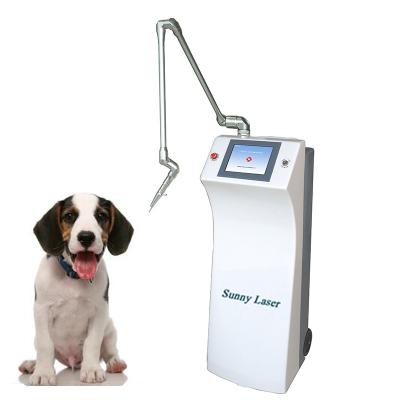 China Unique CL30 Newest Products Veterinary Laser Therapy Equipment For Physiotherapy 50*52*116cm for sale