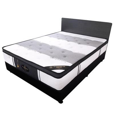 China Home Furniture Compressed Bamboo Charcoal Latex 3 Zone Pocket Bed Base T002 for sale