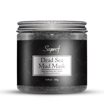 China Anti-Wrinkle Free Sample 8.8oz OEM Dead Sea Mud Mask With Bentonite Clay for sale