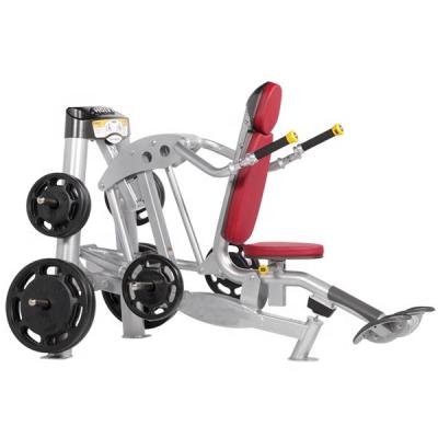 China Commercial Use Glory Fitness Free Weight Gym Equipment Seated Dip Triceps Machine for sale