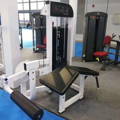 China Commercial Gym 2 Mode Prone Machine Strength Hammer Use Leg Curl Leg Press for sale