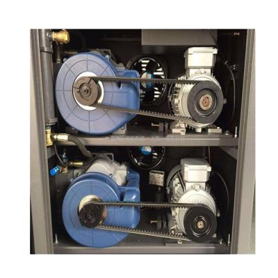 China Oil Free Manufactures In China Mini Dry Type Oil Free Vortex Scroll Air Compressor for sale