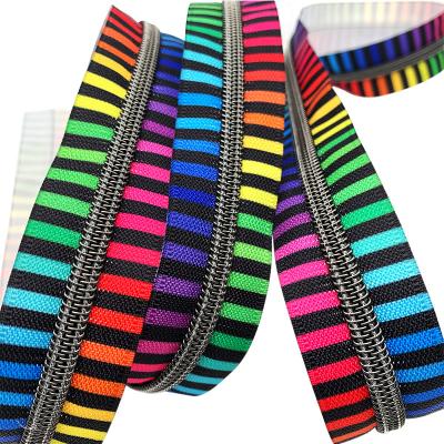 China Durable Fancy #5 Open End Printed Long Nylon Zipper Chain Plated Gunmetal Teeth Zip Colorful Nylon Zipper Band for sale