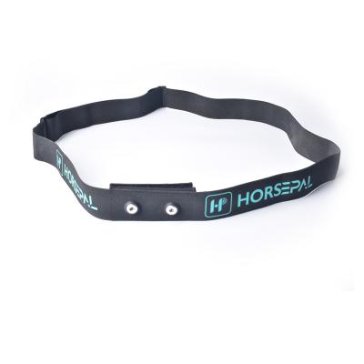 China Sports Horse Adjustable Heart Rate Monitor Equestrian Belt Strap Rate Sensors Custom Logo Horse for sale