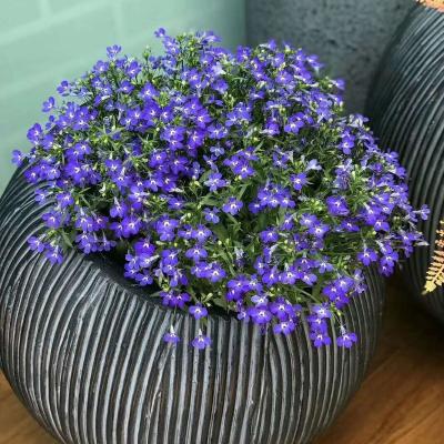 China Corrosion Resistance Modern Planters Floor Large Plant Pot Large Planter Fiberglass Outdoor Garden Decoration for sale