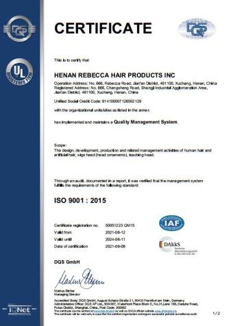 ISO9001 - Henan Rebecca Hair Products Co., Ltd.