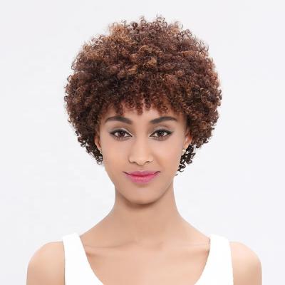 China Wholesale Afro Kinky Curly Wig Brazilian Hair Curly Curly Wigs For Color Women Lace Up Non Frontal Human Hair Wigs for sale