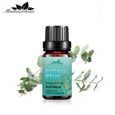 China Best Price 10ml 1kg 100% Natural Pure Organic Bulk Eucalyptus Skin Revitalizer Factory Wholesale Suppliers Fresh Essential Oils for sale