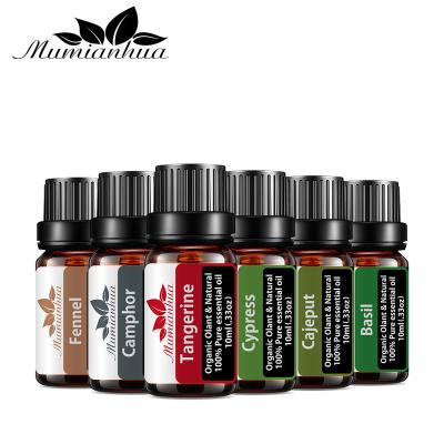 China Pendant Massages Aromatherapy Diffuser Essential Oil 10ml 6 Gife Set Tangerine Cypress Cajeput Basil Camphor Fennel for sale