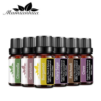 China Moisturize Aromatherapy Sale 100% Pure Natural Essential Oil Set Bergamot Clary Sage Patchouli Clove Oil Aroma Diffuser Bottle for sale