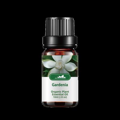 China Popular Jasmine Fragrance Oil Pigmentation Correctors Pure Essential Oil Price New Fresh With Best Price Jasmine Essential Oil new for sale