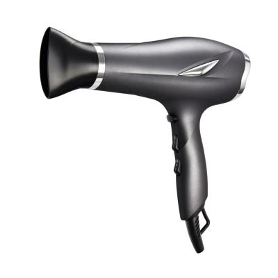 China Powerful Manufacturer Custom Ionic Blow Ion Dryer 2200w For Home Use for sale