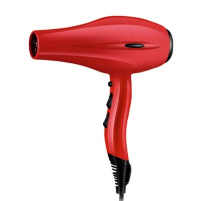 China Powerful Ionic Professional Hair Salon Negative Ion Constant Temperature Blow Dryer for sale