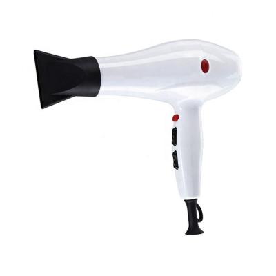 China Professional Ionic Super Private Label Dual Voltage Compact Foldable Powerful Hair Salon Dryer for sale