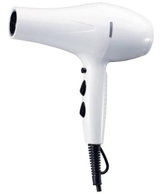 China Ionic powerful professional hair dryer with good quality in promotion ionic function for sale