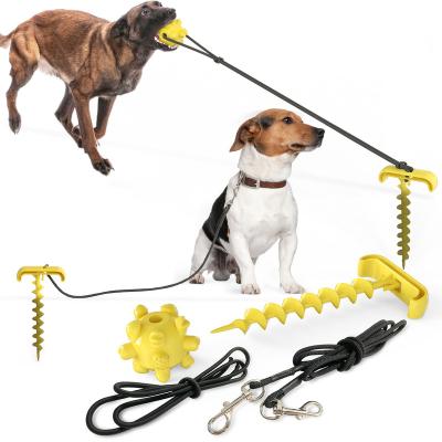 China Popular Outdoor Ground Dog Leash Ground Dog Pile Tool Pet Tool Pet Pile Link Dog Pile Nail Outdoor Binding Nails for sale