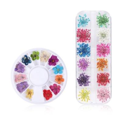 China Colorful Natural Dry Nail Art Dried Flowers Art Diy Decoration Mixed Packing Flower Nail New Design Nail Beauty Products for sale