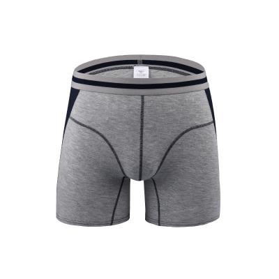 China Breathable Personality Quick Dry Men Sport Briefs Shape Modal Breathable Boxers for sale