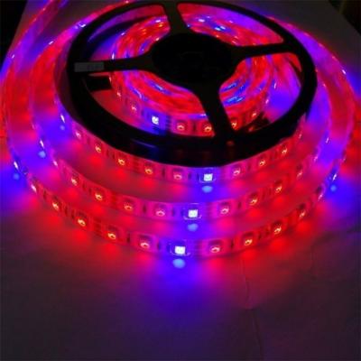 China Seed Start Lamp Body Materiaal PC Led Grow Light Strip met 5050 Dc 12v/24v Te koop