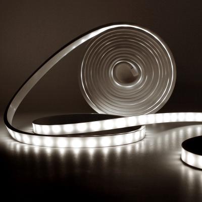 China LANDSCAPE Fashion Design 16.5ft/5m Dc12v Waterproof Silicone Neon Lights Flexible Strip T1212 for sale