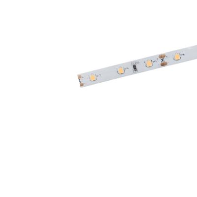 China LANDSCAPE Source Factory 16.5ft/5m Dc12v 5*13mm Silicon Led Flex Tube Light Neon Warm White for sale