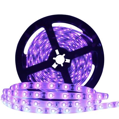 China DC 24watt 60led classic black 12v sports stadiums light design 16.4feet(5meter) kit with 12v 24w power supply light strip for sale