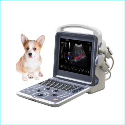 China Veterinary Portable Ultrasound Full Digital Color Doppler Ultrasound Diagnostic System Full Digital Ultrasound Scanner HV-10 for sale