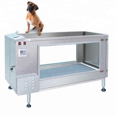 China High Quality Stainless Steel Underwater Treadmill Large Dog Water Treadmill For Dogs for sale