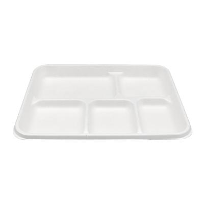 China 100% Biodegradable Compost Within 90 Days 100% Disposable Sugarcane Bagasse Bagasse Lunch Food Disposable Tray 5 Compartments for sale