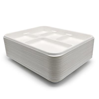 China 100% Biodegradable Compost Food Elementary School Lunch Fast Food Dishes By 90 Days Disposable Recycle Tray Microwavable 5 Compartments for sale