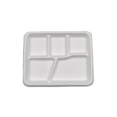 China 100% Biodegradable Compost Bagasse 5 Compartment Tray 5 Compartment Within 90 Days Biodegradable Paper Plate for sale