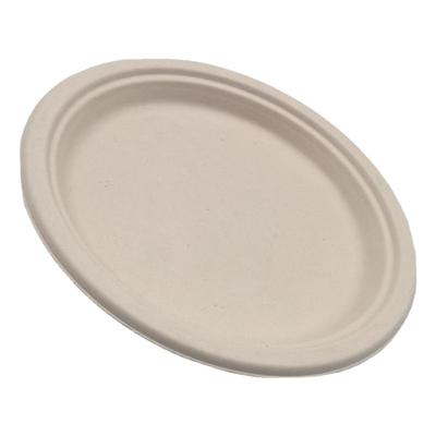 China 100% Compostable Biodegradable Compost Promotion 7inch Sugarcane Bagasse Dish Within 90 Days Set Microwave Safe Disposable Takeout Dish for sale