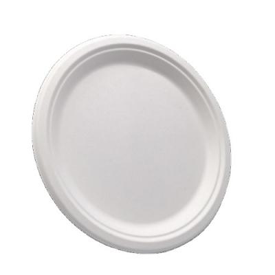 China 100% Compost ODM Oill Proof Sugar Cane Bagasse Disposable Biodegradable Paper Plates Within 90 Days for sale