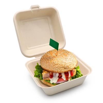 China 6 Inch 480ml Customized Hot Selling Recyclable Sugarcane Bagasse Biodegradable Paper Pulp Hinged Hamburger Boxes for sale