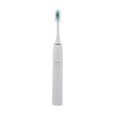 China Ningbo Sunshex Wholesale Electric Toothbrush Battery Operated Manufacturer for sale